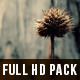 Dead Plants Pack - VideoHive Item for Sale