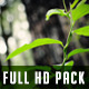 Plants Pack - VideoHive Item for Sale