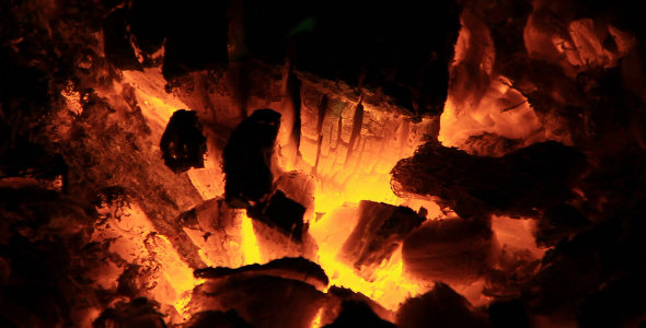 In the Fire
