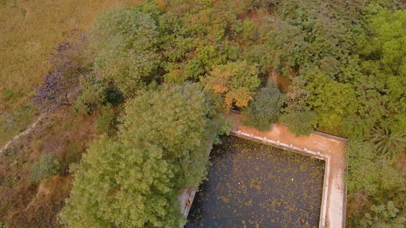 Aerial: pond in a Bangladesh countryside farming land of Jahangirnagar. Shot in 4k. alt