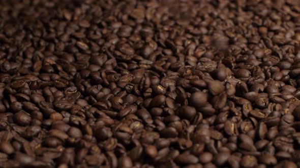 Falling Coffee Beans alt