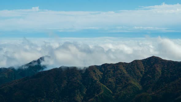 Cloud On Mountain alt