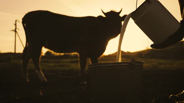 Fresh Milk Concept alt