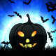 Halloween Pumpkin 2 Background - VideoHive Item for Sale