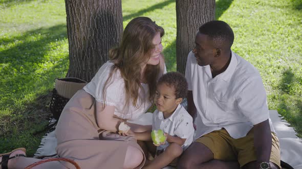 Black Father Fairskinned Mother and Mestizo Child in the Park alt