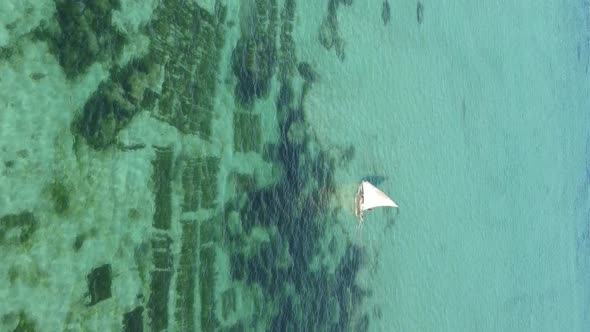 Tanzania Vertical Video  Boat Boats in the Ocean Near the Coast of Zanzibar Aerial View alt