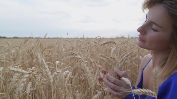 Beautiful Ukrainian Woman Wearing Dress in Ukrainian National Flag Colours Blue and Yellow at Wheat alt