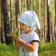 Little girl collect and eat wild blueberries - VideoHive Item for Sale