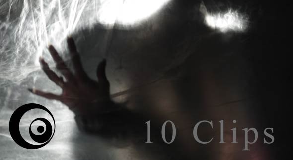 Circe s Inserts 01 10-Pack