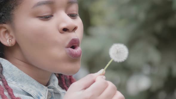 Attractive Afro Woman Blows Dandelion Seeds alt