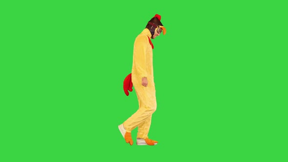 Funny Guy in Animal Costume Walks Seemingly Tired but Satisfied on a Green Screen Chroma Key