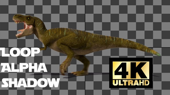 Dinosaur Tyrannosaurus Run And Roar Loop With Alpha And Shadow Side View