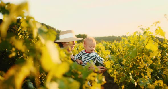 Young Mom Enjoying Time with Her Cute Little Child in French Provence Vineyard During Summer alt