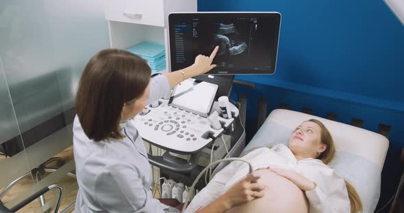 In the Hospital Obstetrician Uses Transducer for Ultrasound Sonogram Screening alt