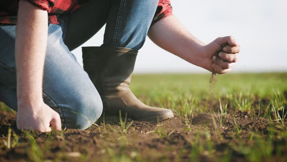 Soil and Agriculture alt