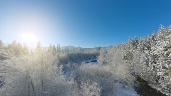 Flight Along a Mountain River Surrounded By a Snowcovered Forest alt