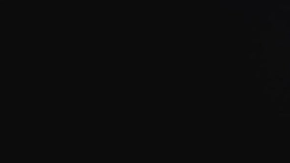 Old Coin of the Roman Empire alt