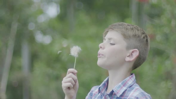 Boy blowing dandelion seedhead alt