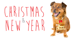 Christmas & New Year