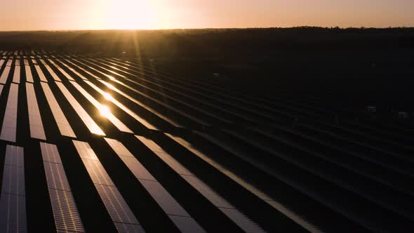 Solar farm at sunrise