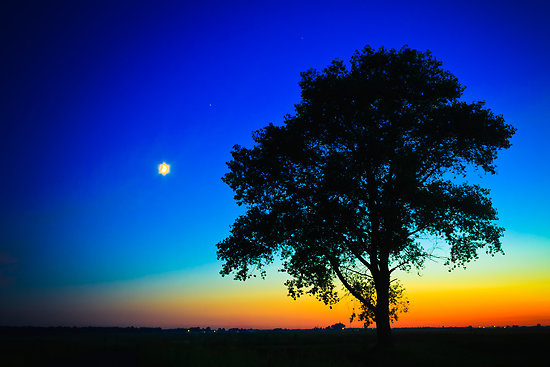 Relaxing and Romantic