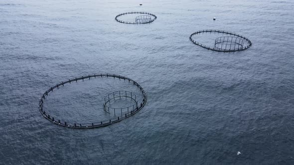 Fish Cages of Fish Farm in Sea with Fish Until They Can Be Harvested alt