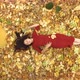 Girl among Yellow Leafs - VideoHive Item for Sale