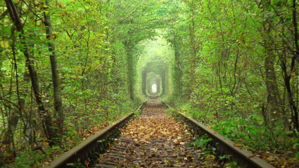 Ukrainian Tunnel of Love