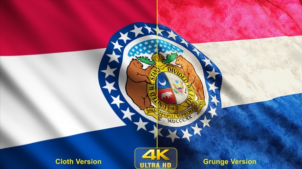 Missouri State Flags alt