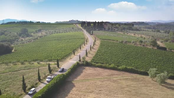 Tuscany vineyards along the road - Aerial alt