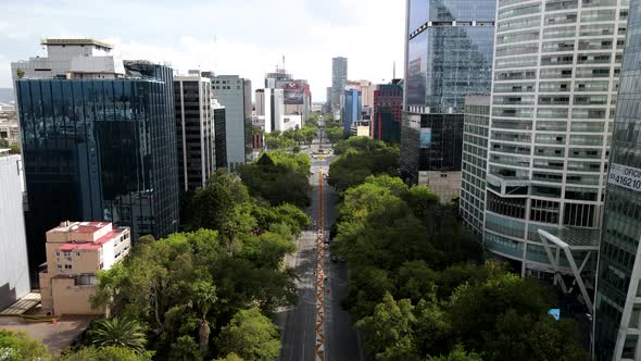 Drone shot above reforma avenue in mexico city with traditional flower sown in the camellon alt