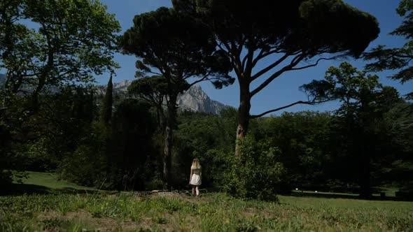 A Girl in a White Dress Admires the Tall Trees Surrounding Her