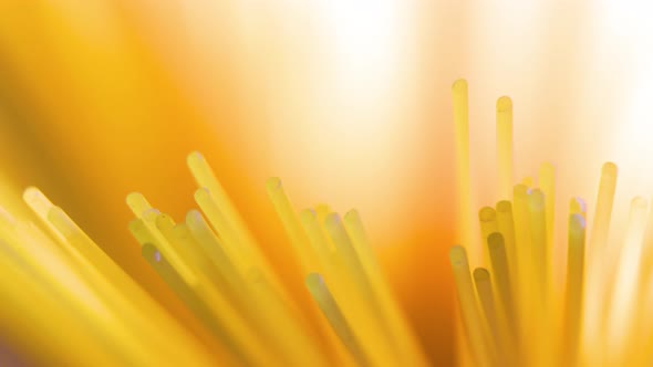 Italian Spaghetti Raw Food Background Texture alt