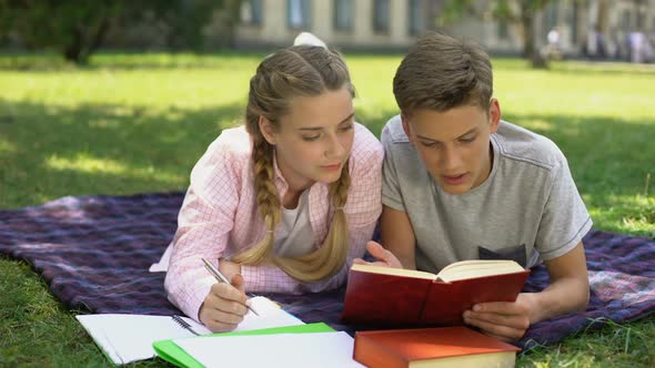 Teenagers Reading, Making Notes and Discussing Subjects on Plaid in Park, Study alt