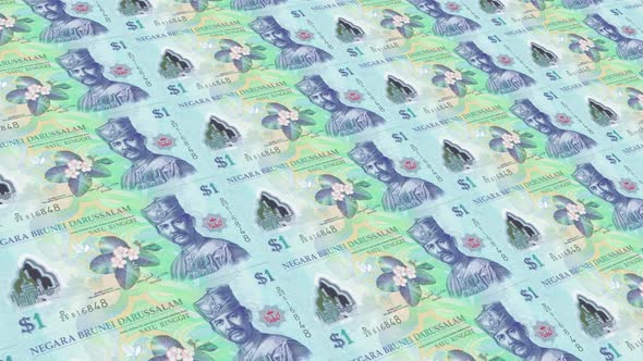 Brunei Money / 1 Brunei Dollar 4K alt