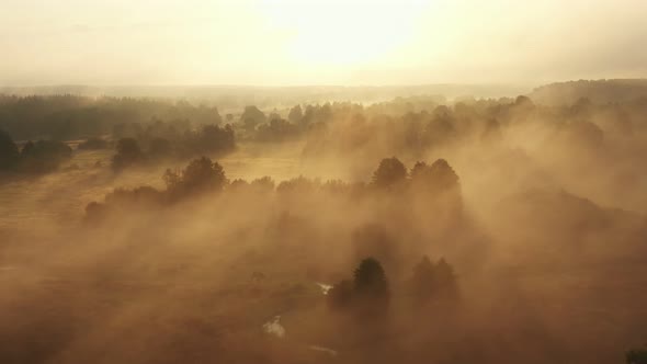 Drone Flying Backwards Over Incredible Sunrise Valley Trees and River Covered with Thick Fog Mist on alt