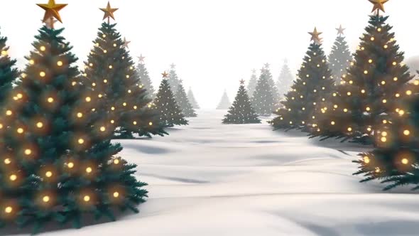 Christmas Trees 02