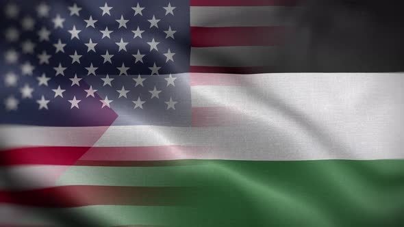 USA Palestine Flag Loop Background 4K