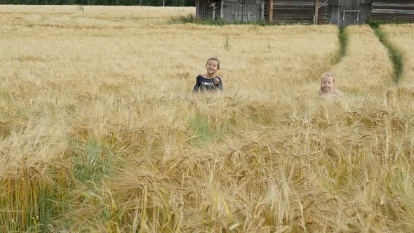 Little Girls Running Cross The Wheat Field. Happy Kids Playing On Wheat Field alt