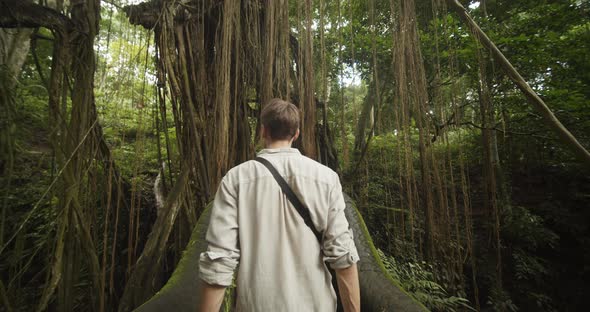 Young Man Walking Up the Beautifully Carved Ancient Stairs in Jungle Temple Towards Tropical Tree alt