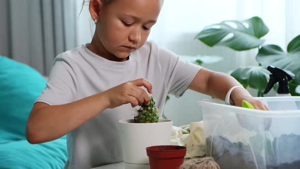 Little Child Girl Transplants a Cactus Into New Pot at Home