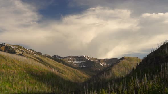 Yellowstone Valley 