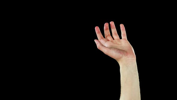 Close-up of hands gesturing alt