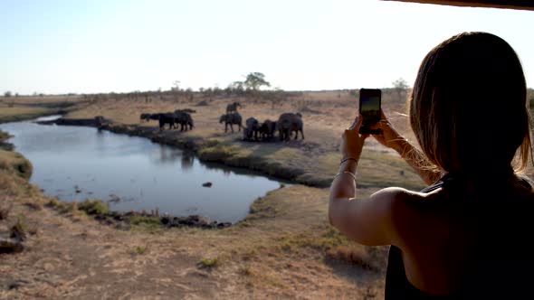 Woman enjoying the view of elephants in Zimbawe