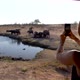 Woman enjoying the view of elephants in Zimbawe - VideoHive Item for Sale