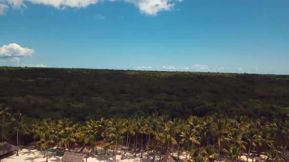 4k 24fps Drone Shoot Of The Carbbean Beach  With Palmstree And Crystal Water A Paradise alt