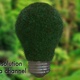 Bulb With Grass 360 - VideoHive Item for Sale
