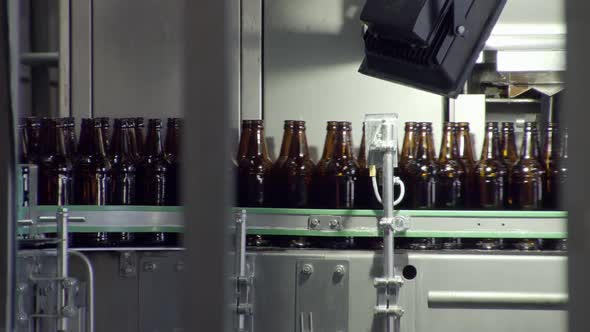 Beer Brown Bottles Move Along Conveyor Belt on Technological Line
