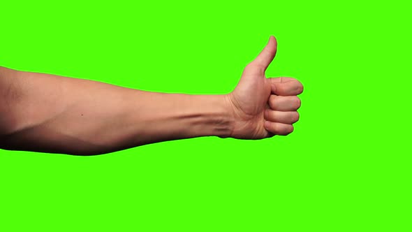 Thumbs Up Greenscreen alt