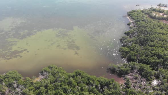 coast line clear water ocean atlantic florida keys vacation travel tourist kayak beautiful aerial dr alt